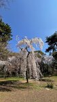 IMG_4481