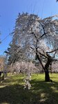 IMG_4484