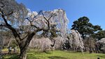 IMG_4489