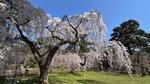 IMG_4490