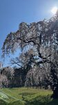 IMG_4492