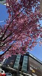 IMG_4606