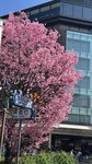 IMG_4607