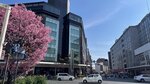 IMG_4608