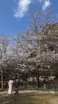 IMG_4653