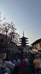 IMG_4663
