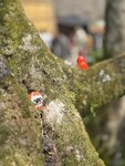 IMG_4755