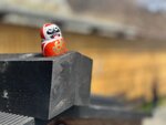 IMG_4757