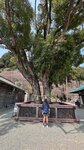IMG_4793