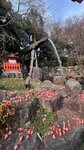 IMG_4840