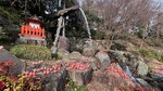 IMG_4842