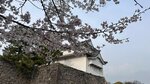 IMG_4894