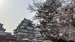 IMG_4897
