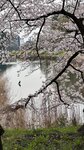 IMG_4934