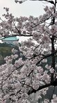 IMG_4943