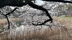 IMG_4946