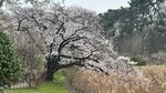 IMG_4947