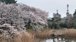 IMG_4949