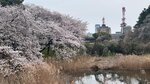 IMG_4950