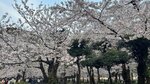 IMG_4954