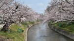 IMG_4988