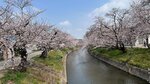 IMG_4989