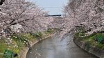 IMG_4990