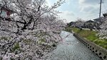 IMG_4993