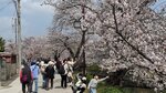 IMG_5004
