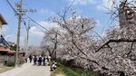 IMG_5006