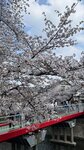 IMG_5007
