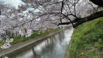IMG_5027