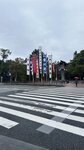 IMG_5132