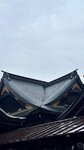 IMG_5133