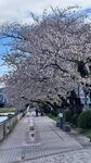 IMG_5157