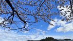 IMG_5160