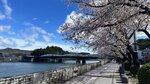 IMG_5161