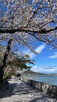 IMG_5165