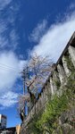 IMG_5172