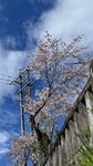 IMG_5173