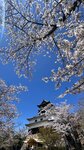 IMG_5229