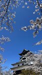 IMG_5230