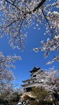 IMG_5231