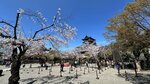 IMG_5235