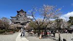 IMG_5243
