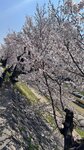 IMG_5282