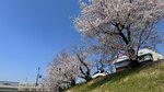 IMG_5284