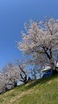 IMG_5285