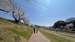 IMG_5286
