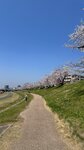IMG_5288